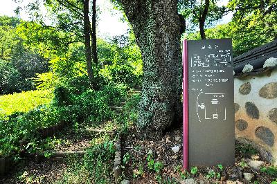 발산 6 이미지