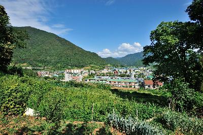 발산 7 이미지