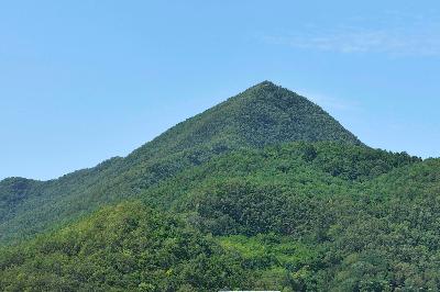 발산 8 이미지