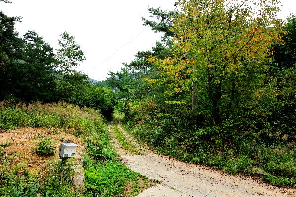 구룡산 5 이미지