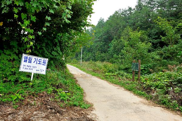 구룡산 6 이미지