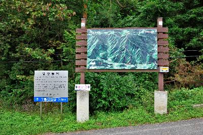 구룡산 2 이미지