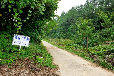 구룡산 6 이미지
