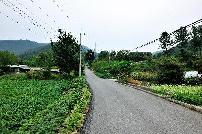 구룡산 7 이미지