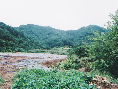공기리돌화살촉출토지 이미지