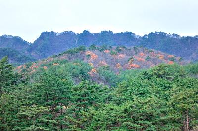 구봉산 14 이미지
