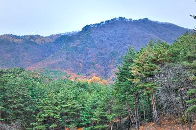 구봉산 15 이미지