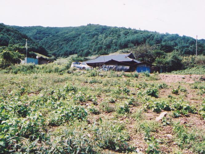 법화사지 1 이미지