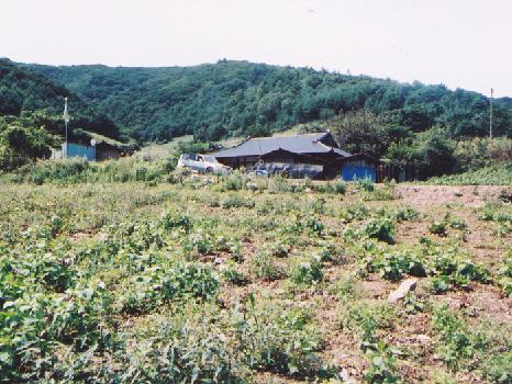 법화사지 이미지