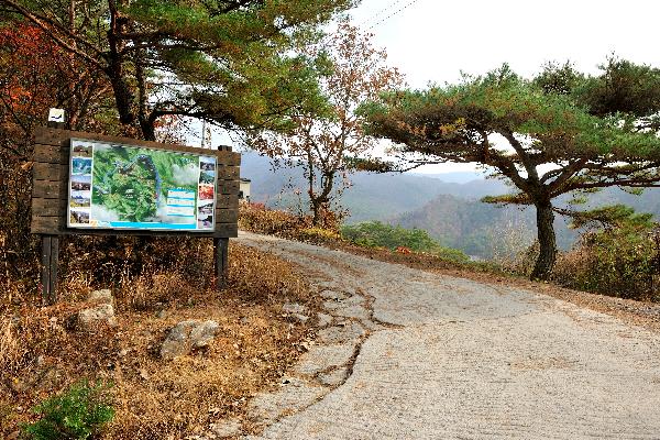 장성산 2 이미지