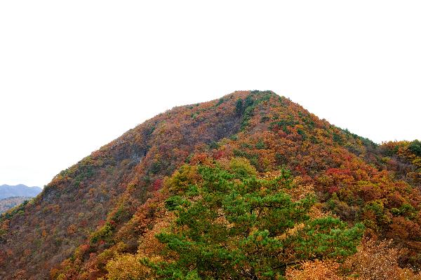 장성산 10 이미지