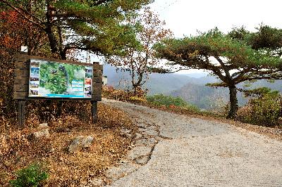 장성산 2 이미지