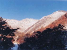고고산 3 이미지