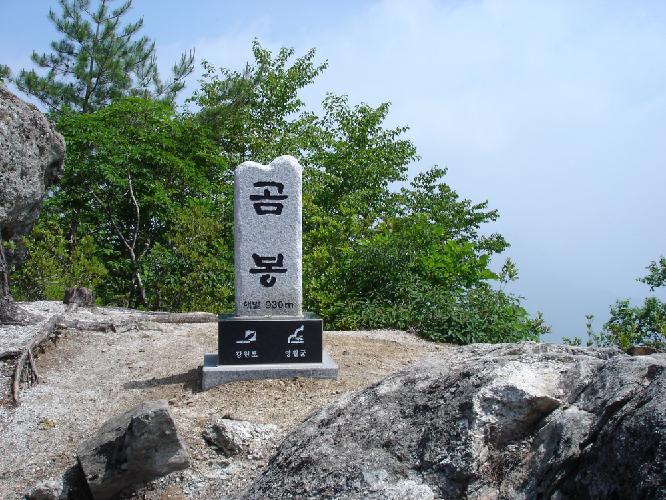 곰봉 3 이미지