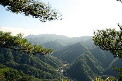 곰봉 이미지