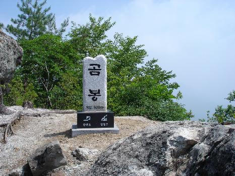 곰봉 3 이미지