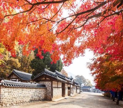 제 1경 장릉 6 이미지