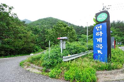 연하계곡
