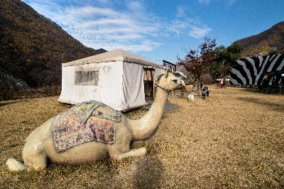영월아프리카미술박물관 7 이미지