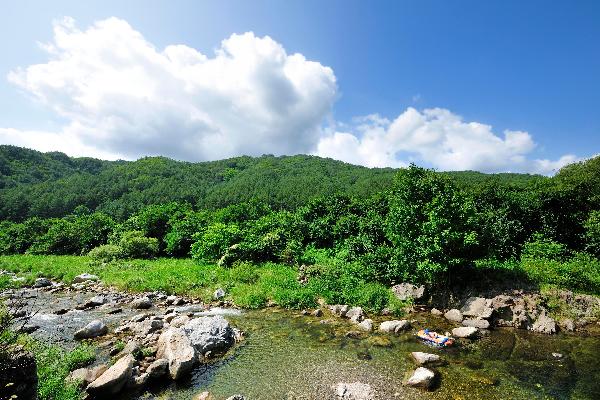 내리계곡 8 이미지