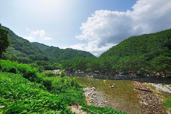 내리계곡 10 이미지