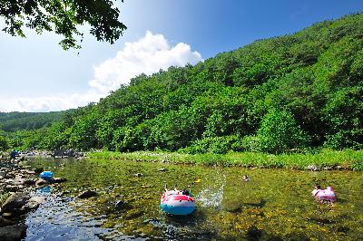 내리계곡 6 이미지