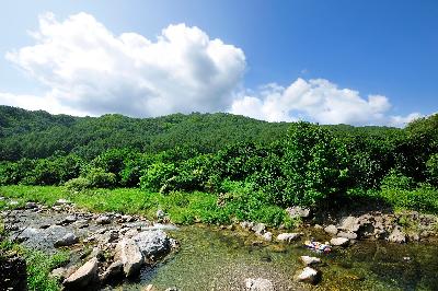내리계곡 8 이미지