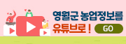 영월군 홍보동영상
