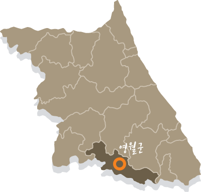 영월군