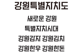 강원특별자치도체 미리보기 이미지