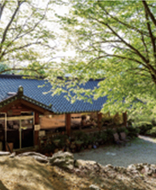 산속의친구